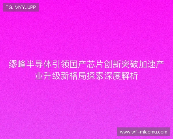 缪峰半导体引领国产芯片创新突破加速产业升级新格局探索深度解析